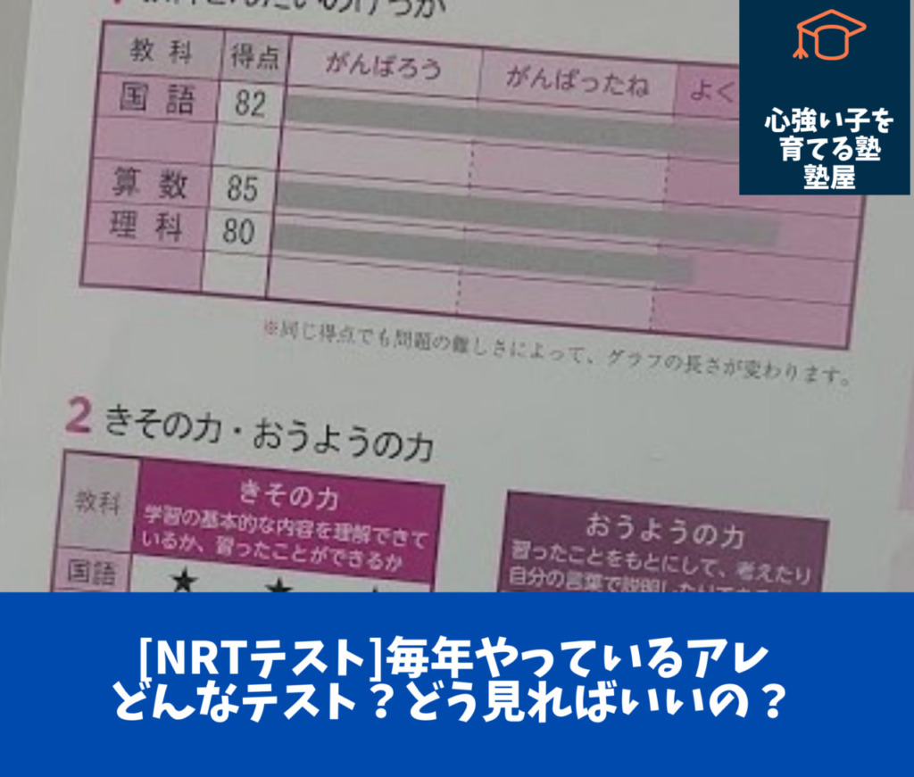 Nrtテスト 例のピンクの紙 返ってきたけど どう見ればいい 評価のナゾ